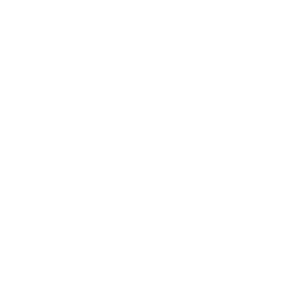 新興企業