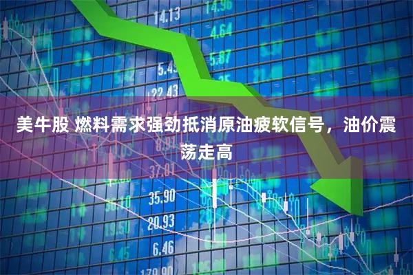 美牛股 燃料需求强劲抵消原油疲软信号，油价震荡走高
