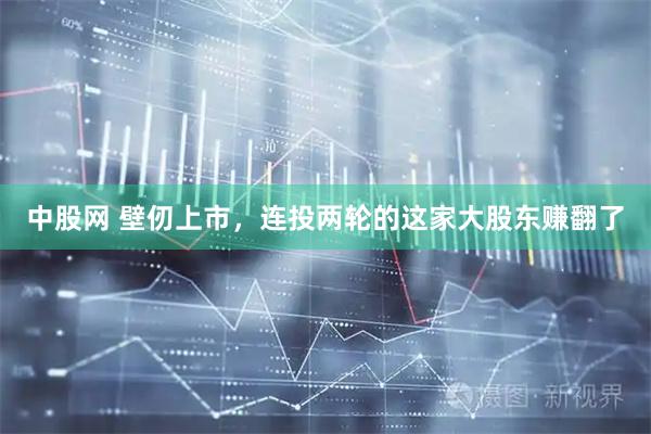中股网 壁仞上市，连投两轮的这家大股东赚翻了