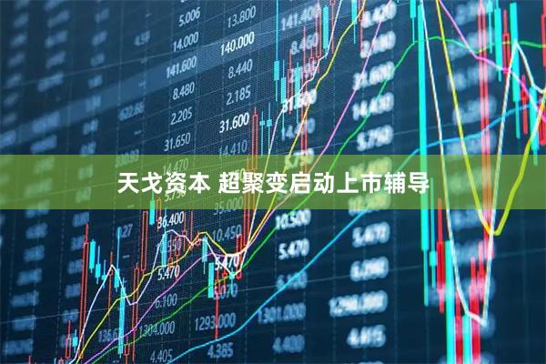 天戈资本 超聚变启动上市辅导