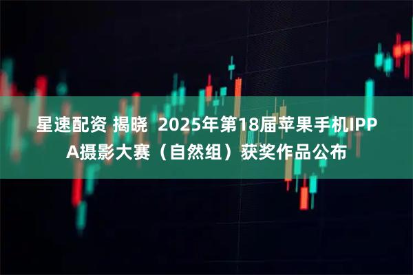 星速配资 揭晓  2025年第18届苹果手机IPPA摄影大赛（自然组）获奖作品公布