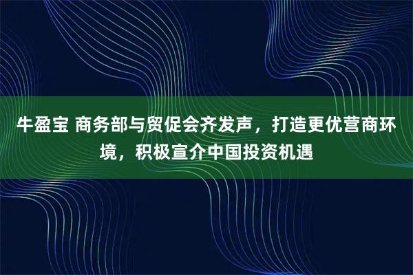 牛盈宝 商务部与贸促会齐发声，打造更优营商环境，积极宣介中国投资机遇