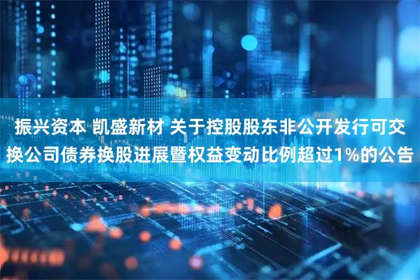 振兴资本 凯盛新材 关于控股股东非公开发行可交换公司债券换股进展暨权益变动比例超过1%的公告